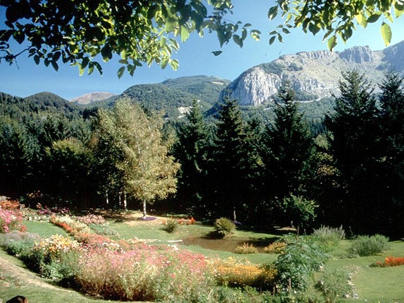 Il giardino di montagna