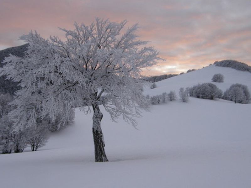 Monte Tavola