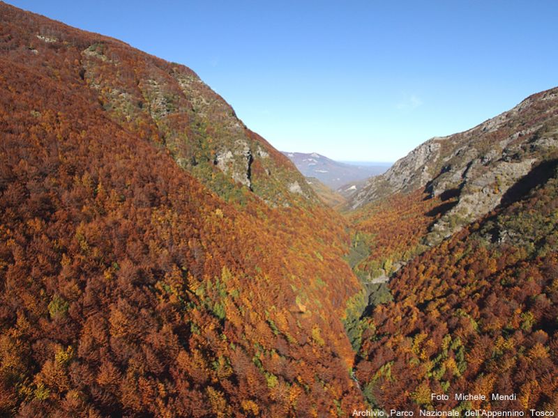 Spettacolare veduta aerea della Val d'Ozola colorata di tinte autunnali