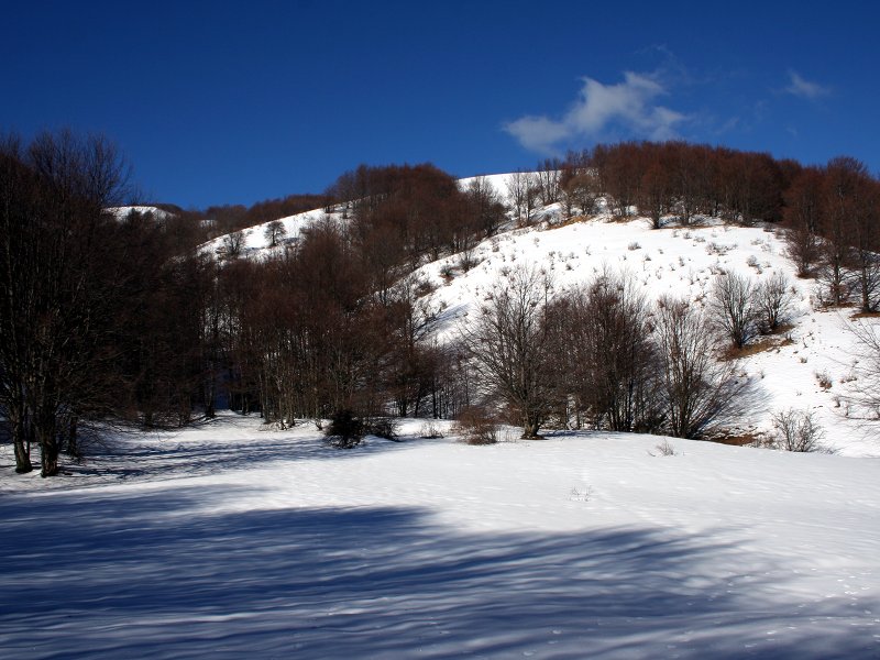 Paesaggio neve