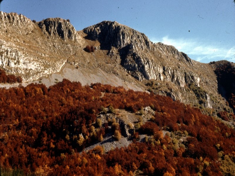 Colori d'Autunno