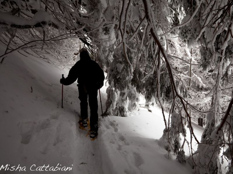 Ciaspolando sul Monte Tavola