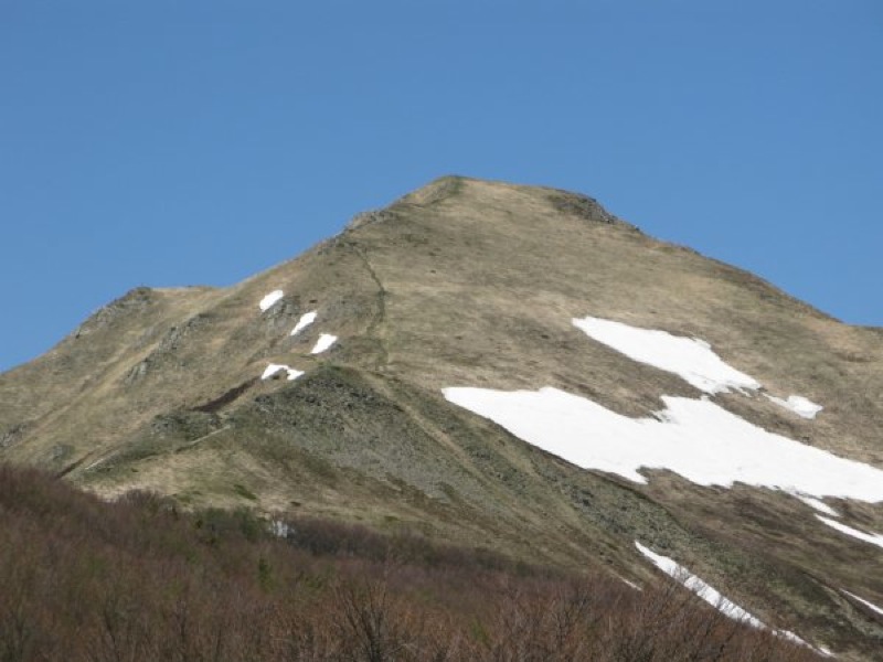 Cavalbianco in primavera