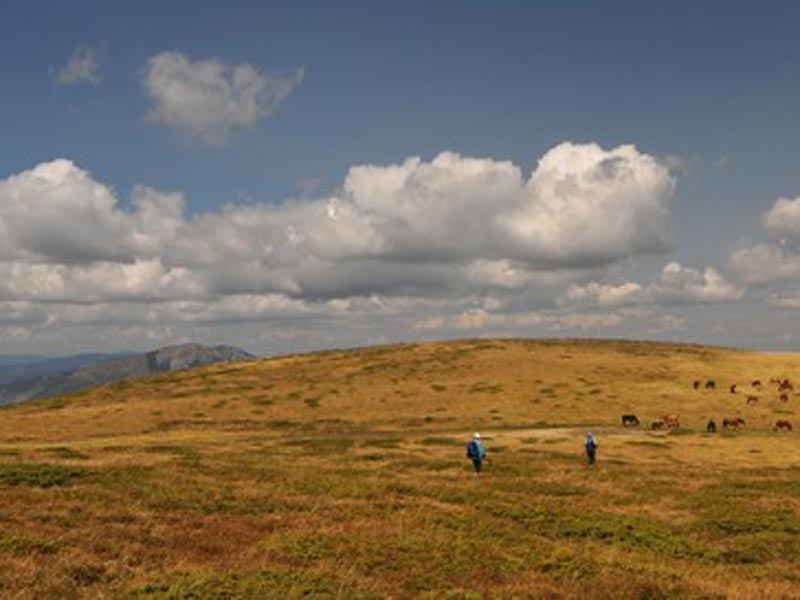 Estate al Baggioleto