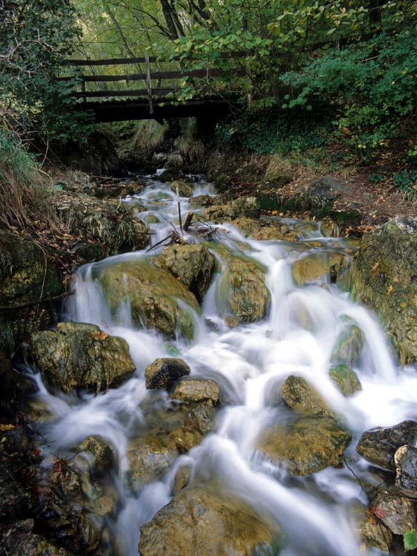 Fonti di Poiano