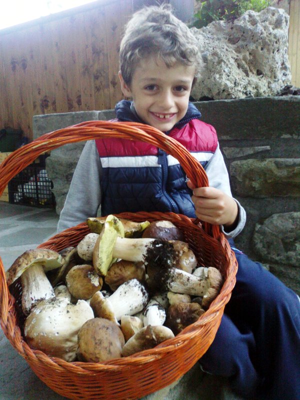 Piccoli ma tosti fungaioli dell'Alpe