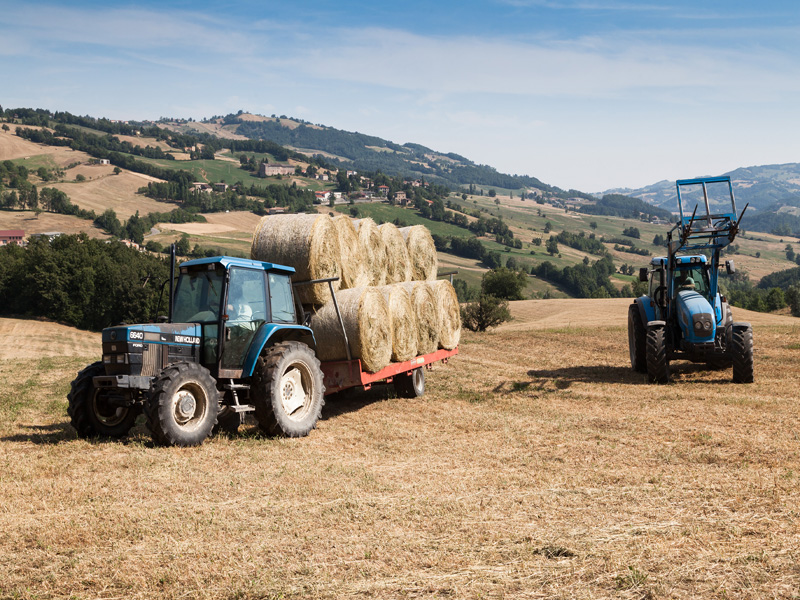 05.Colline Langhiranesi (Cattabiani-Concari)