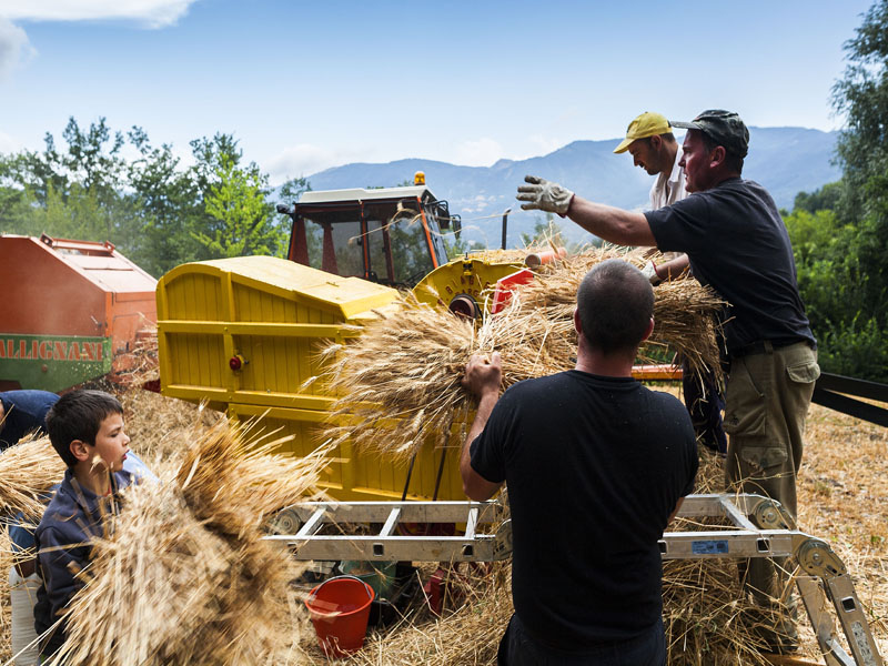 11.Trebbiatura a mano Ballone (Concari-Cattabiani)