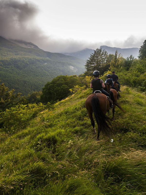 01.Cavalli Passo della Colla (Concari-Cattabiani)