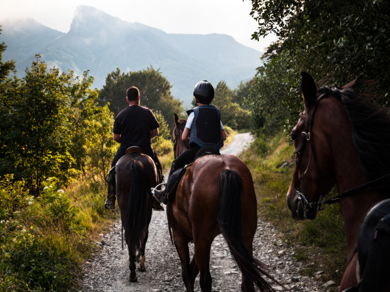 02.Cavalli Passo della Colla (Cattabiani-Concari)