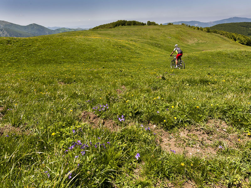 06.Mountain Bike Navert (Concari-Cattabiani)