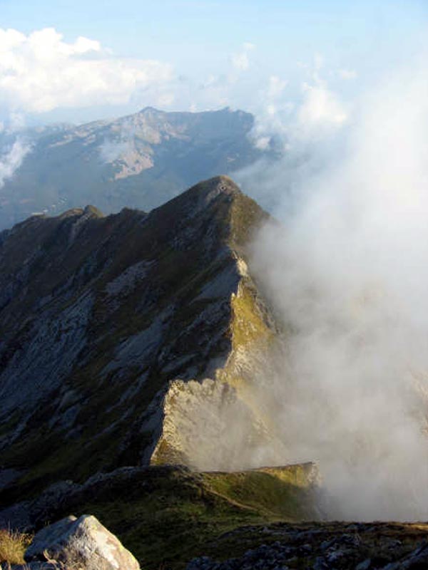 Dal Monte Alto verso Pezzalunga